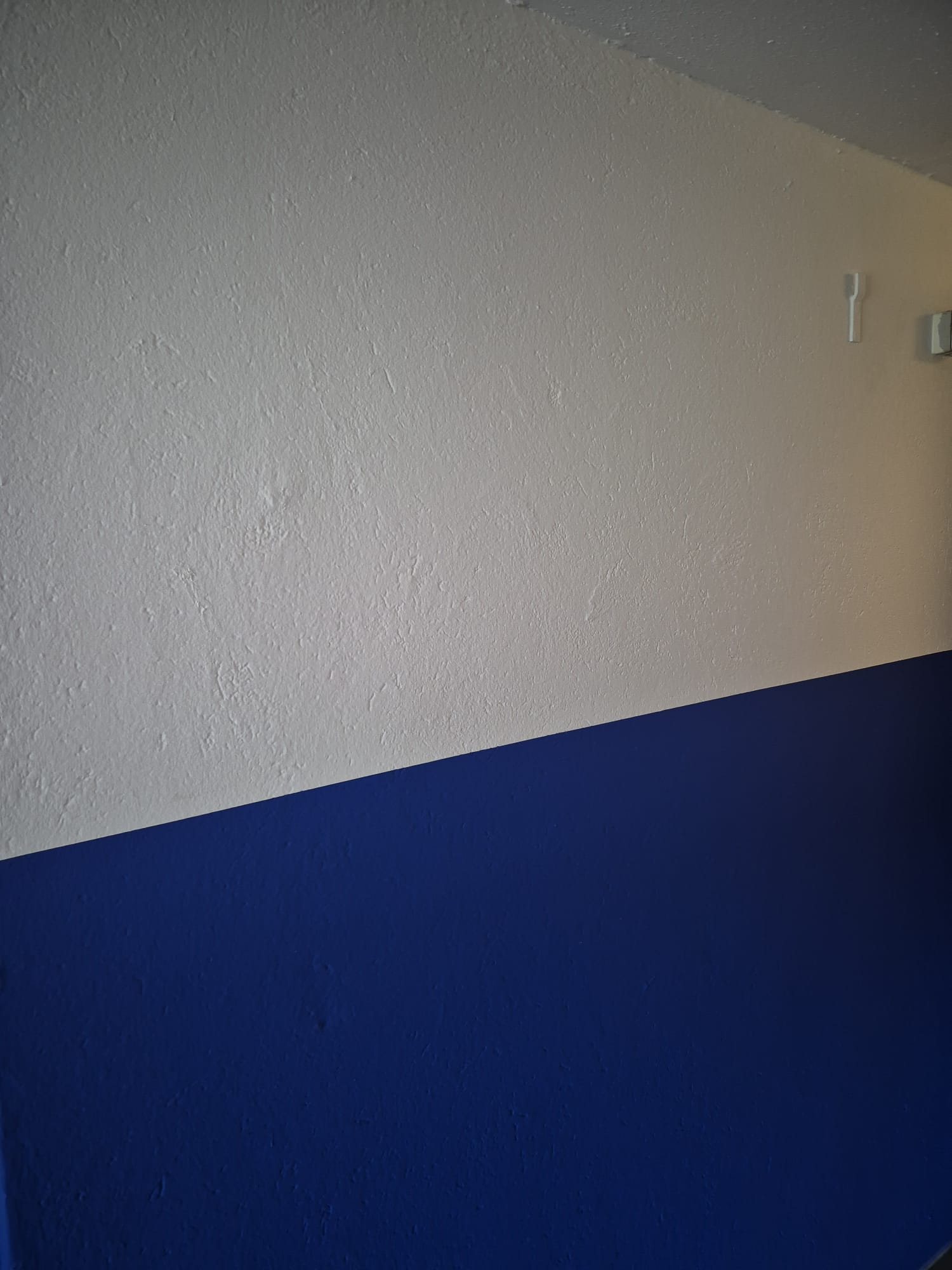 WhatsApp Image 2026 04 15 at 12.48.35 1